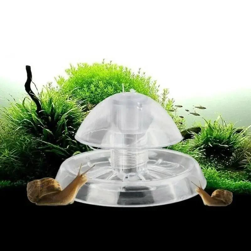 Marine Aquarium - 2026 Yeni 6/8CM Şeffaf Plastik Salyangoz
