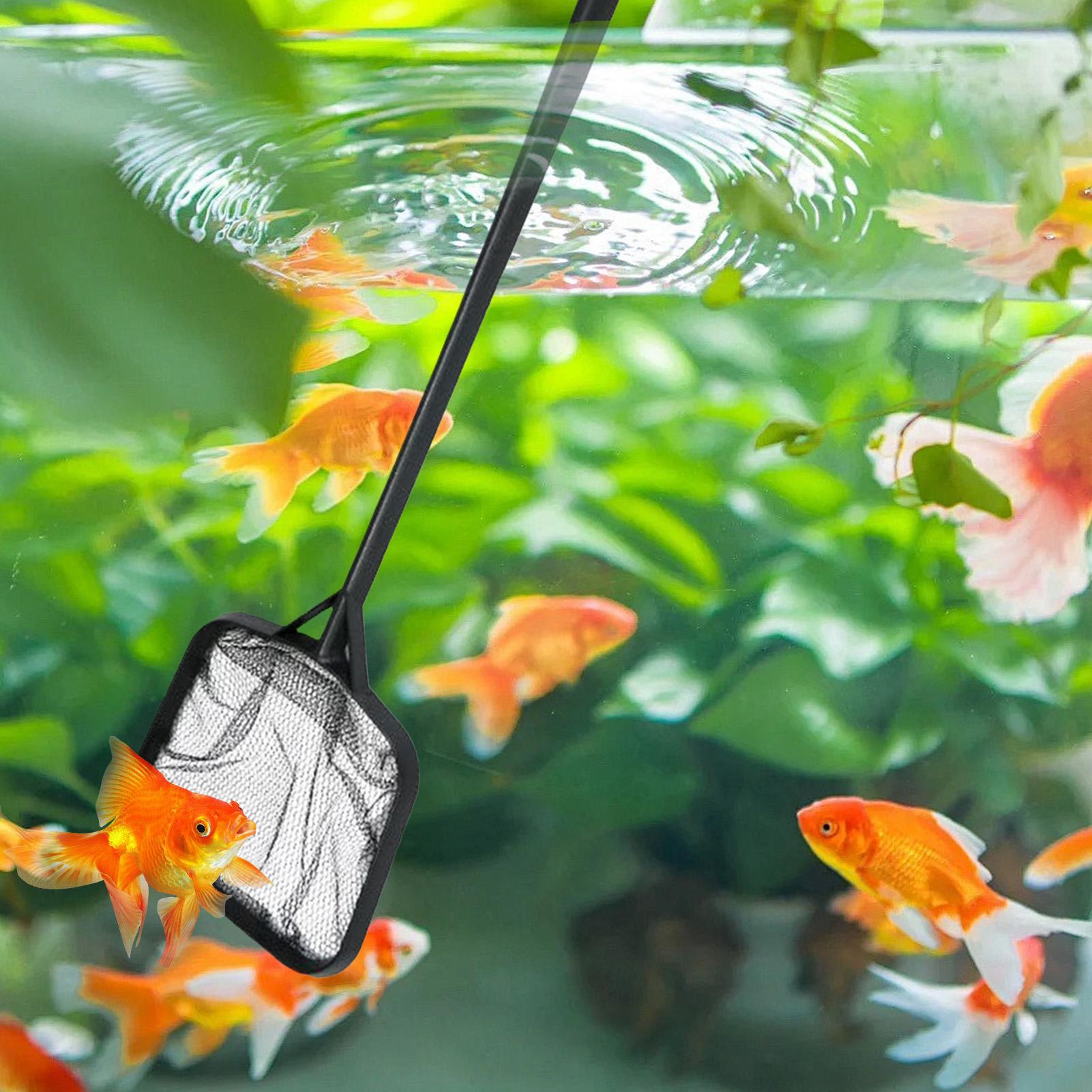 Havuz Temizleme Ağları Taşınab - Marine Aquarium incelemesi ve fiyatı