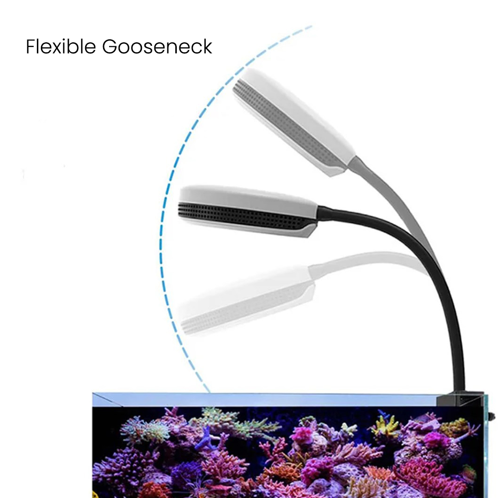 Spectra SP20 20W Akvaryum LED  - Reef Aquarium incelemesi ve fiyatı