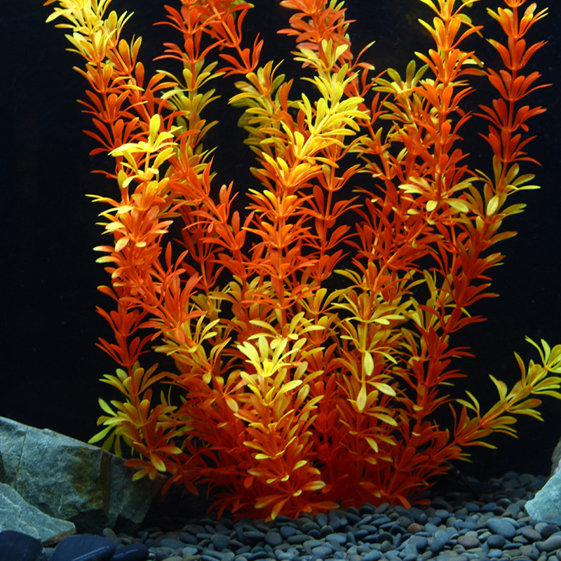 100cm Tropikal Bitkiler Büyük  - Marine Aquarium incelemesi ve fiyatı