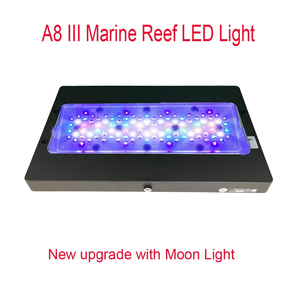 A8 III Moon Light Güçlü Deniz  - Marine Coral incelemesi ve fiyatı