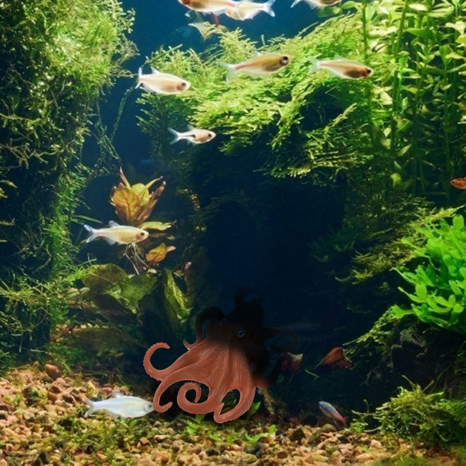 1 Adet Ahtapot Figürlü, Deniz  - Ocean Aquarium incelemesi ve fiyatı