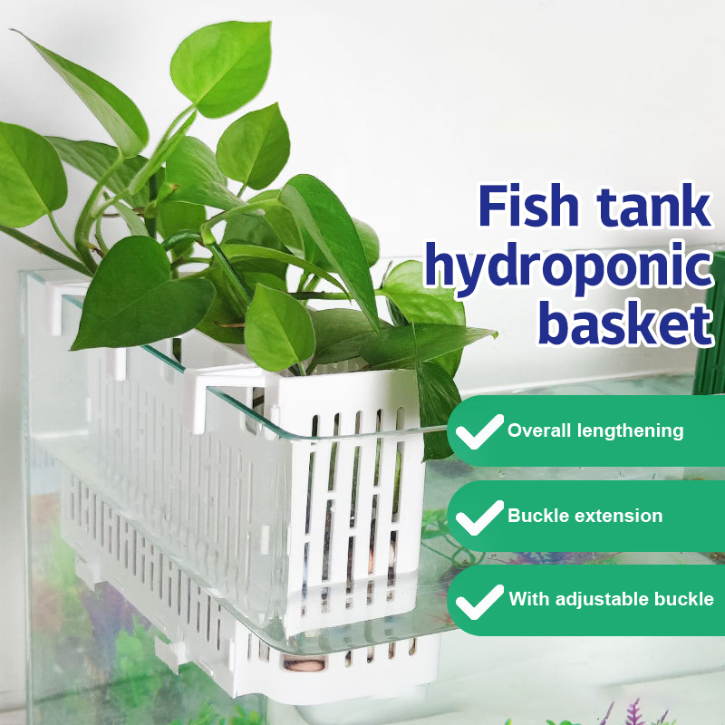 Balık Tankı Asılı Saksı Su Bit - Marine Aquarium incelemesi ve fiyatı